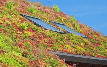 Sauchie living roof systems