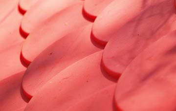 Sauchie plastic roof costs